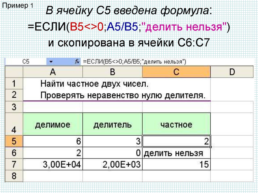 Количество клеток в образце