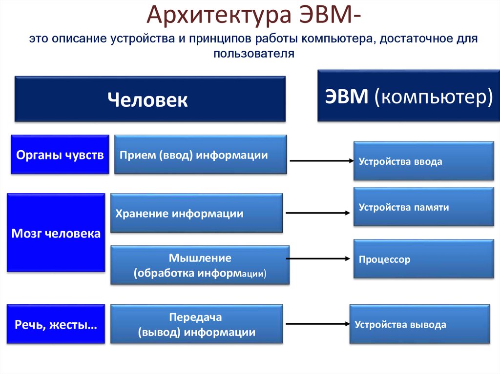 Принципы устройства компьютера. Расшифруйте понятие архитектура ЭВМ. Перечислите основные типы архитектуры ЭВМ. Однопроцессорная архитектура ЭВМ архитектура. Типы архитектур ЭВМ.