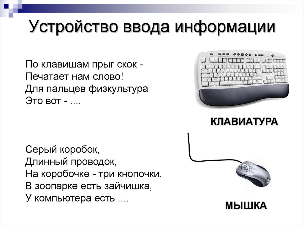 Какое устройство используют для ввода рисунка в компьютер