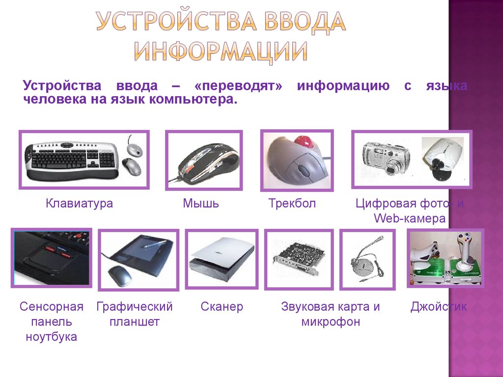 Устройство которое используется для передачи фотографий и текстов на ваш компьютер