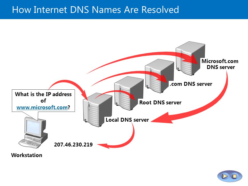 DNS сервер в локальной сети. Схема работы DNS. Локальный ДНС.