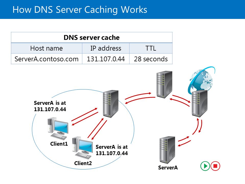 Host cache. Принцип работы DNS сервера. Принцип работы ДНС сервера. DNS протокол схема. Серверная архитектура DNS прокси.