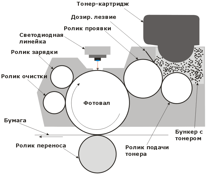 Барабан переноса изображений